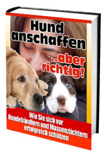[KOPIE] Hund anschaffen - aber richtig